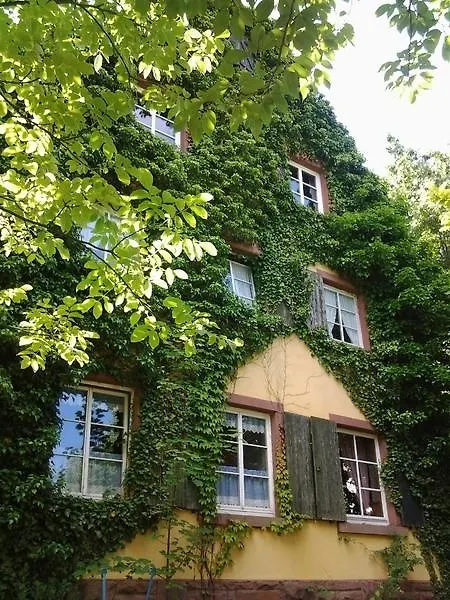 Guest house Gastehaus Zum Alten Schulhaus Hotel Miltenberg