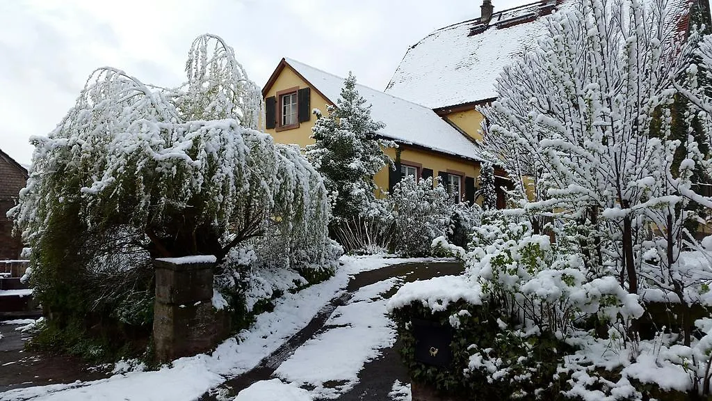 Gastehaus Zum Alten Schulhaus Hotel Miltenberg 0*,  Germany